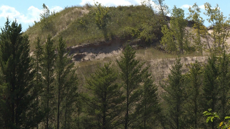 A sand dune at Indiana Dunes National Park.  - Tyler Lake/WTIU