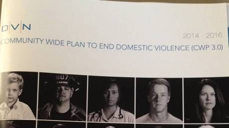 New Domestic Violence Plan Launched