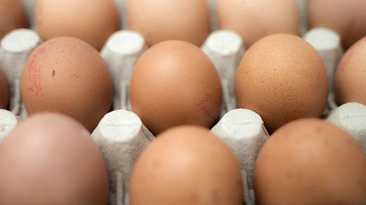 Grocery prices spiked last fall after egg prices rose sharply due to an avian flu outbreak that wiped out poultry flocks across the Midwest. - stock photo