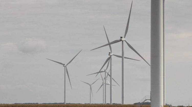 The Meadow Lake wind farm in White County. - Annie Ropeik/IPB News
