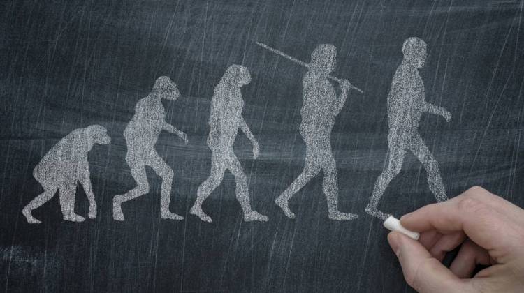 On Evolution, A Widening Political Gap, Pew Says