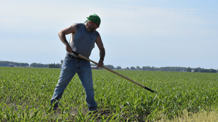 Hoosier Farmers Welcome New Trade Agreement Between US, Mexico and Canada - Justin Hicks/IPB News