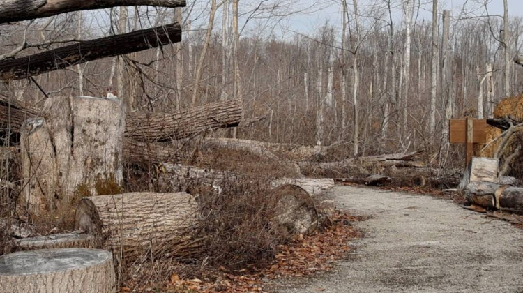 A $10M deficit could mean dirtier restrooms, fewer lifeguards at Indiana state parks this summer