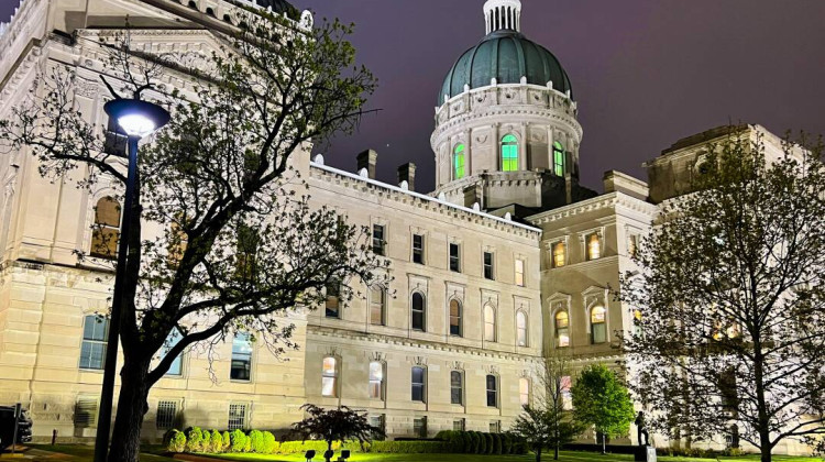 A recent forecast projected lawmakers will have $2 billion less in revenue in the new state budget than previously expected. - Brandon Smith / IPB News
