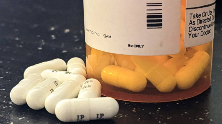 Purdue Pharma and its owners have long been accused of helping fuel the country's opioid abuse crisis. - Lauren Chapman / IPB News