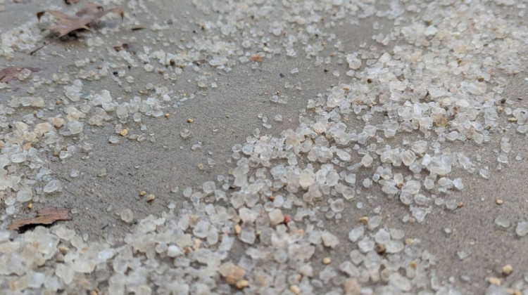 A sidewalk on Indiana University's Bloomington campus with salt leftover from a recent winter storm. Kris Stepenuck said you can sweep up extra salt and save it for the next time you need it. - Rebecca Thiele / IPB News