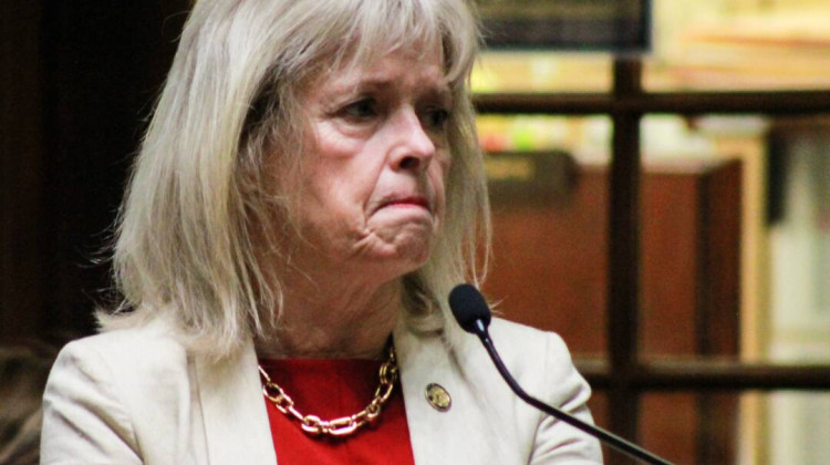 Senate advances $46.8 billion state budget that creates 'some angst,' will evolve further