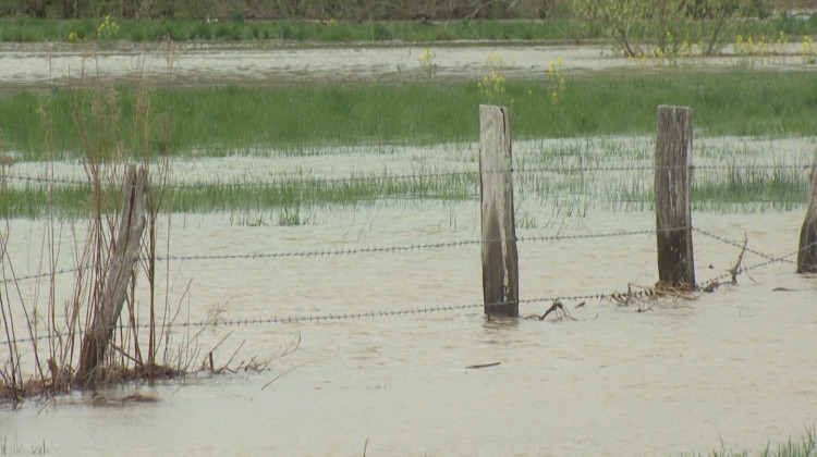 Heavy Rains More Common In Indiana Due To Climate Change