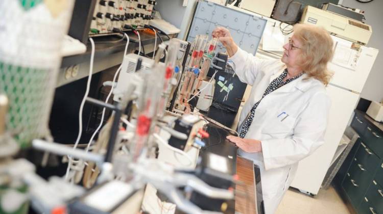 Bonnie Blazer-Yost uses electrophysiological techniques to study ion transport in her School of Science lab.  - Photo courtesy of School of Science at IUPUI