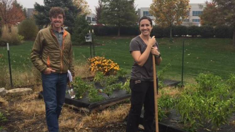 Claire Lane and Andrew Fritz work at the garden at St. Christopher's Episcopal Church.  - (Jill Sheridan/IPB News)