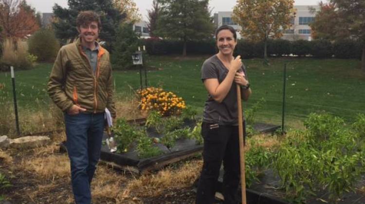 Garden To Pantry: How Indiana's Fight Against Hunger Is Evolving