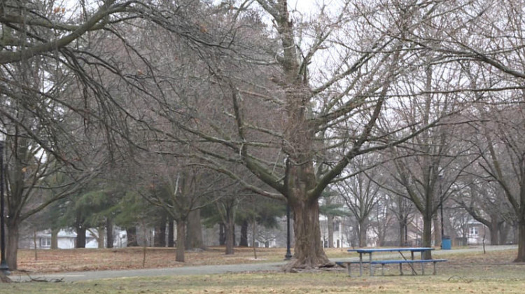 Garfield Park is just one of many locations where the city of Indianapolis has planted trees since 2020. - Rebecca Thiele/IPB News