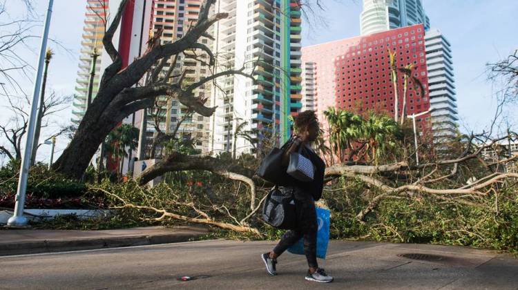 Estrella Palacios walks through debris caused by Hurricane Irma in Miami. While the full extent of Irma's damage isn't yet known, the storm has weakened at a faster rate than expected. - Saul Loeb/AFP/Getty Images