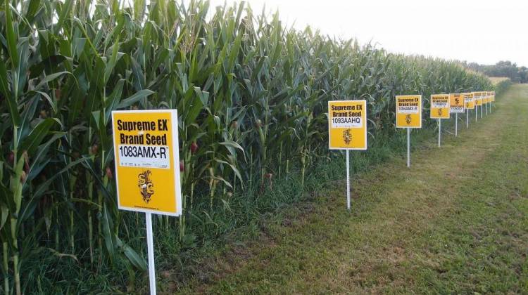 Indianaâ€™s corn and soybean industries are pushing back against a New York Times investigation that alleges genetically modified crops, or GMOs, havenâ€™t done what they set out to do.  - IPBS-RJC