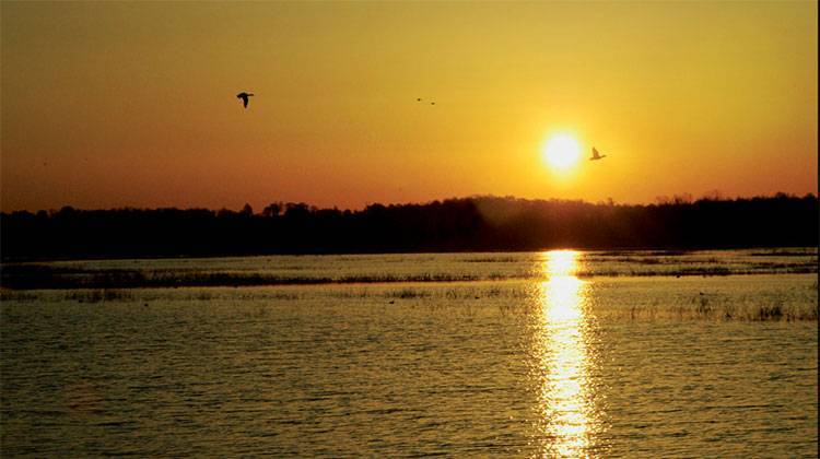 Waterfowl fly over Beehunter Marsh southeast of Linton. The marsh was rebuilt by the USDA's Natural Resources Conservation Service as part of the Goose Pond restoration project. - IDNR/Outdoor Indiana magazine