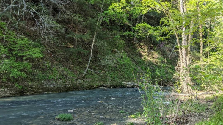 Indiana dedicates $25 million to acquiring land for conservation areas
