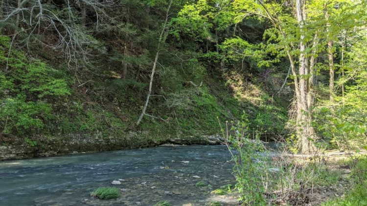 Green's Bluff Nature Preserve in Spencer is owned by The Nature Conservancy. - Rebecca Thiele/IPB News