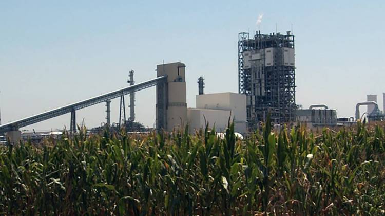 Duke Energy's coal gasification plant rises above corn in Edwardsport. - Gretchen Frazee/WFIU