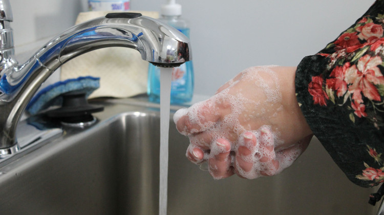 One expert said people can try to avoid getting sick by practicing food safety, cleaning surfaces with effective disinfectants like bleach, and properly washing their hands. - Abigail Ruhman / IPB News