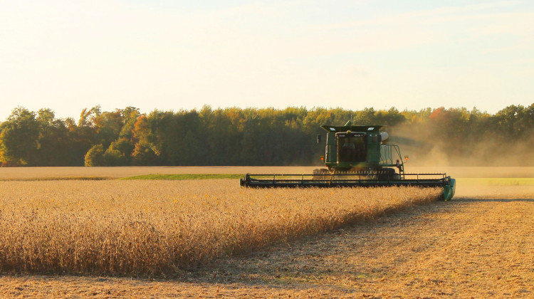 Indiana Farmers Impacted By Soybean Exports To China Down 97 Percent