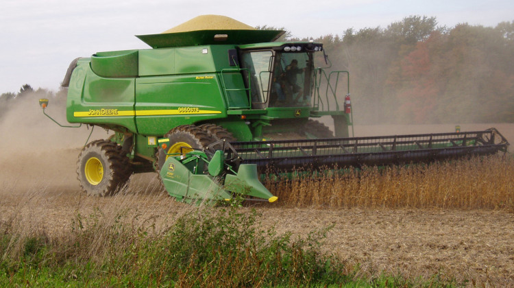 Soybean prices have fallen from about $10 a bushel earlier this year to around $8 today.  - public domain