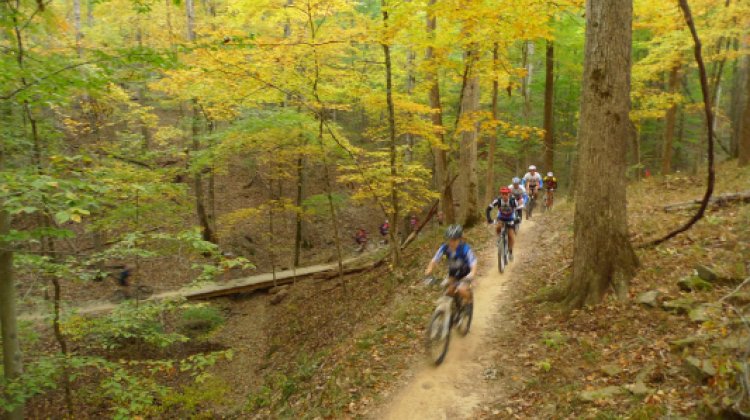 The International Mountain Bicycling Association recently named Brown County a Bronze Level Ride Center after scoring its biking trails. - Courtesy Hoosier Mountain Bike Association