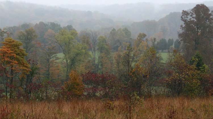 Hoosier National Forest in Orange County - Wikimedia Commons