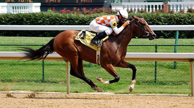 Horse racing has been included at county fairs since the late 1800s. - Jeff Kubina/Wikimedia Commons