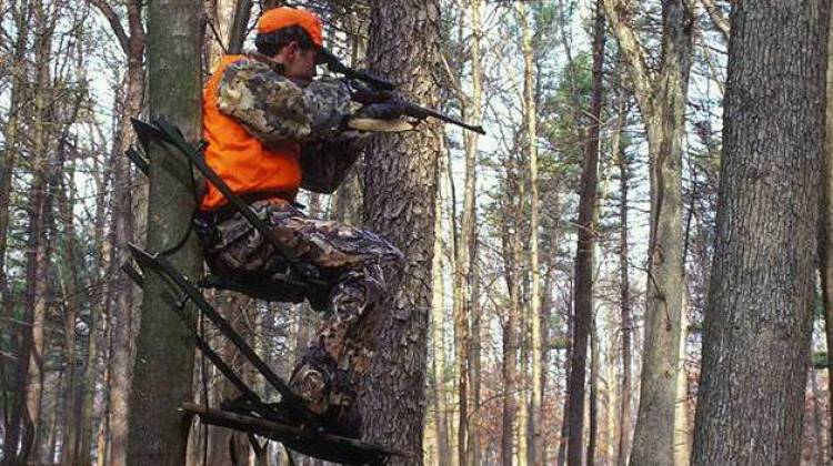Right To Hunt And Fish Makes No Changes, Protects Status Quo