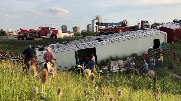 IFD - Overturned Cattle Trailer