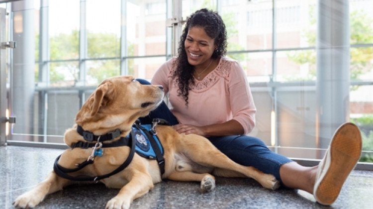 Indiana Canine Assistant Network (ICAN) is celebrating its 20th anniversary this year.