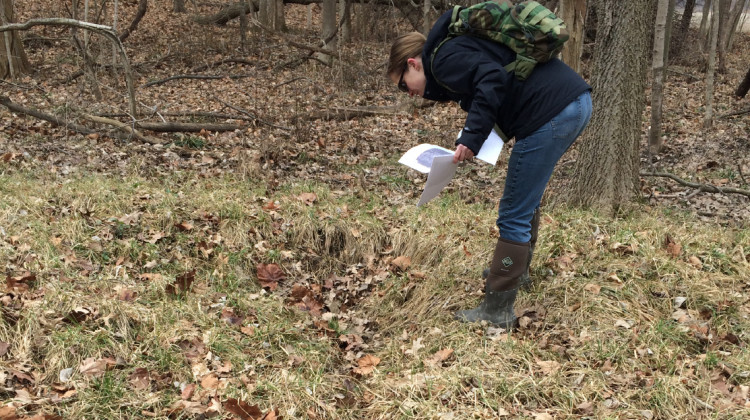An Indiana Department of Environmental Management employee inspects an area in Hamilton County where an agricultural tile has been damaged, causing what they call an isolated wetland to form over time, 2017.  - Courtesy of IDEM
