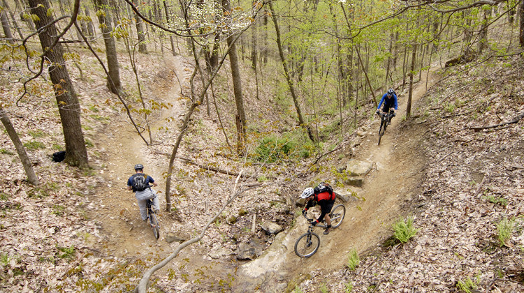 New biking trail opens in Indiana's Brown County State Park
