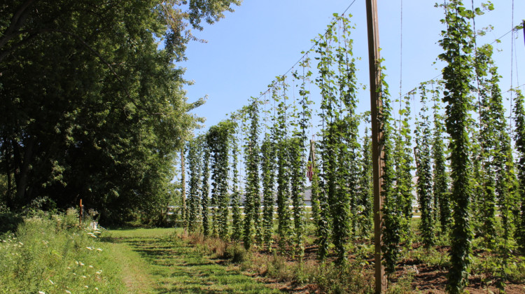 A new state soil sampling program for farmers is now accepting applications.  - FILE PHOTO: Annie Ropeik/IPB News