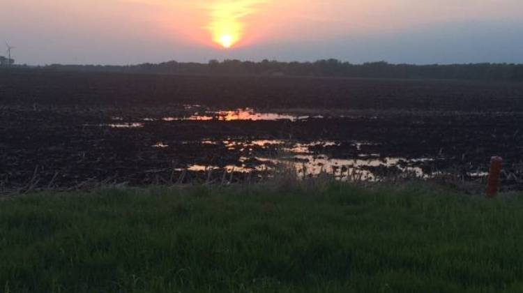 Saturated ag field - Leigh DeNoon