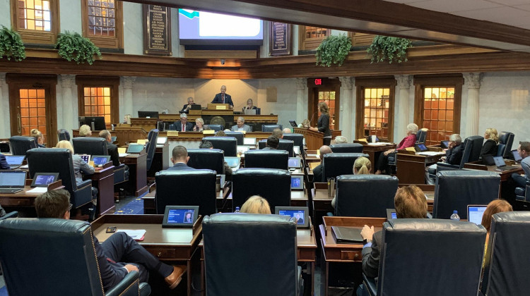 The Senate chambers were full for public health testimony. - Jill Sheridan/IPB News