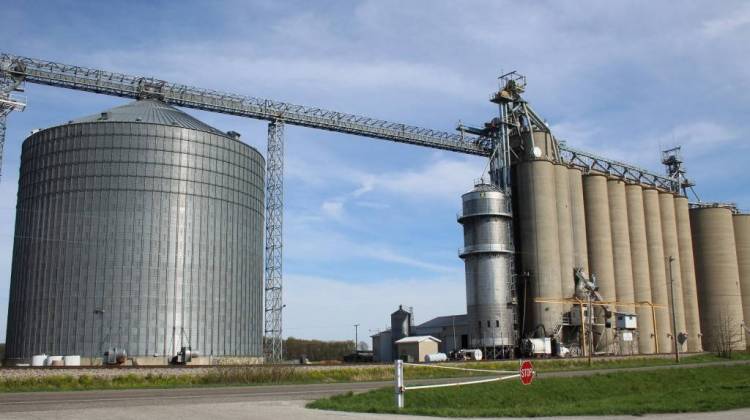 A grain elevator in White County.  - Annie Ropeik/IPB file photo