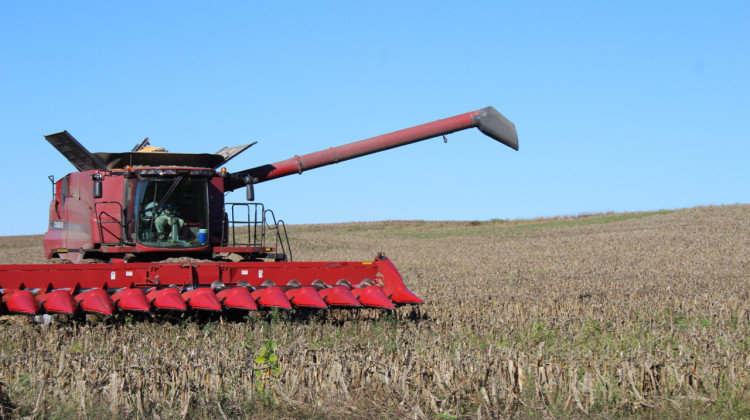 Farmers will likely face a tough decision over the winter about the amount of corn or soybeans to plant this spring - Samantha Horton