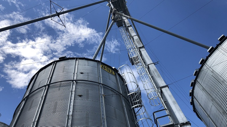 Indiana farm loan delinquencies were down slightly last month compared to the same time last year. But, that doesn’t mean farmers aren’t worried about their financial health. - Brock Turner/WFIU-WTIU News