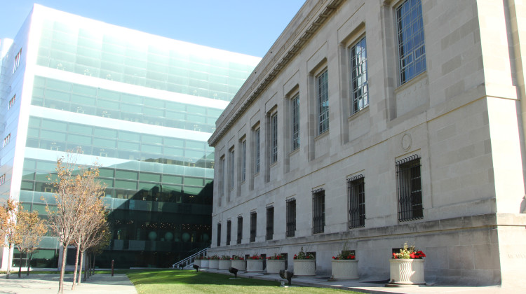 A tense March 27 meeting of the library board lasted more than four hours. - Doug Jaggers/WFYI