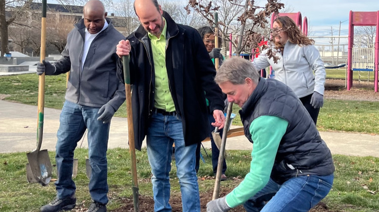 Mayor Joe Hogsett plants the 30,000 tree at Willard Park. (Jill SheridanWFYI)