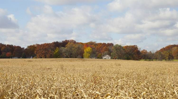 Members of Indianaâ€™s agricultural sector were big supporters of the now-officially defunct Trans-Pacific Partnership.  - IPBS-RJC