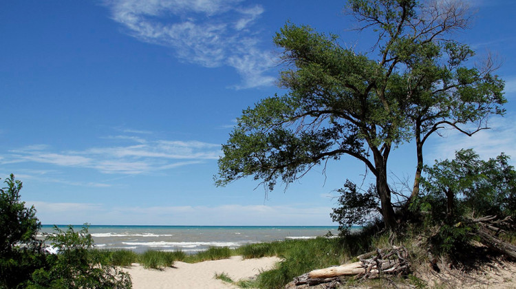 Indiana Dunes Collecting Visitors' Ideas For New Services
