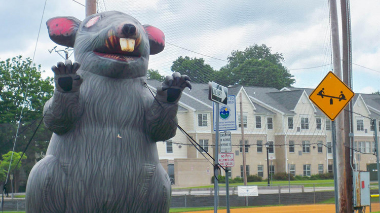 National Labor Board Sides With Elkhart Union Organizers – And Their Giant Rat