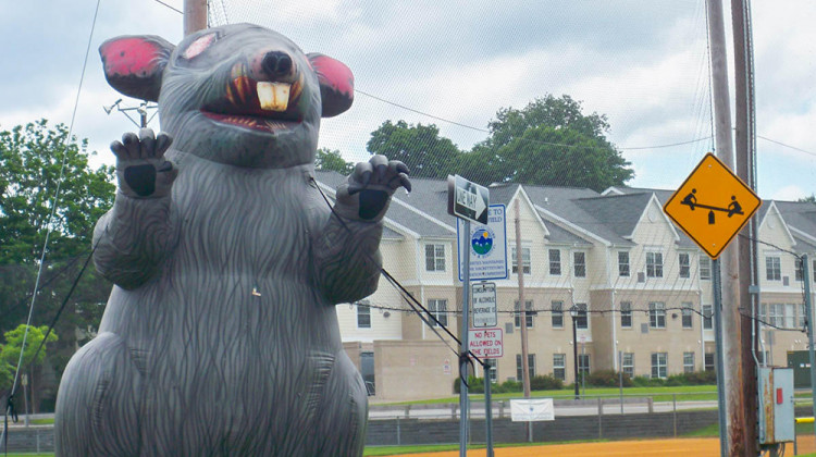 An inflatable rat in Hackettstown, New Jersey, similar to the one used in an Elkhart demonstration. - Erik Anderson/Wikimedia Commons