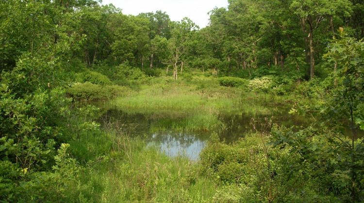 Governor Signs Controversial Wetlands Bill Into Law