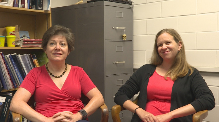 Valerie Oâ€™Loughlin (right) and Polly Husmann (left) co-authored a study about learning styles that says the categorization of learners may not be as important to student success as previously thought. (Jeanie Lindsay/IPB News)