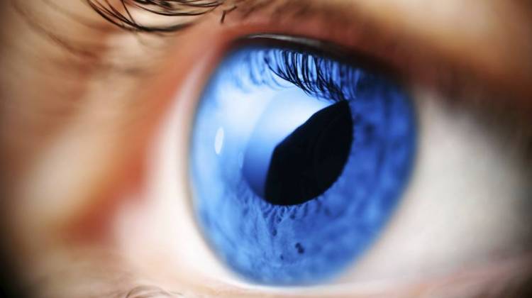 Using Birth Control Pills May Increase Women's Glaucoma Risk