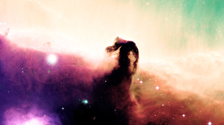 An image of the Horsehead Nebula, provided by Indiana University. - Indiana University