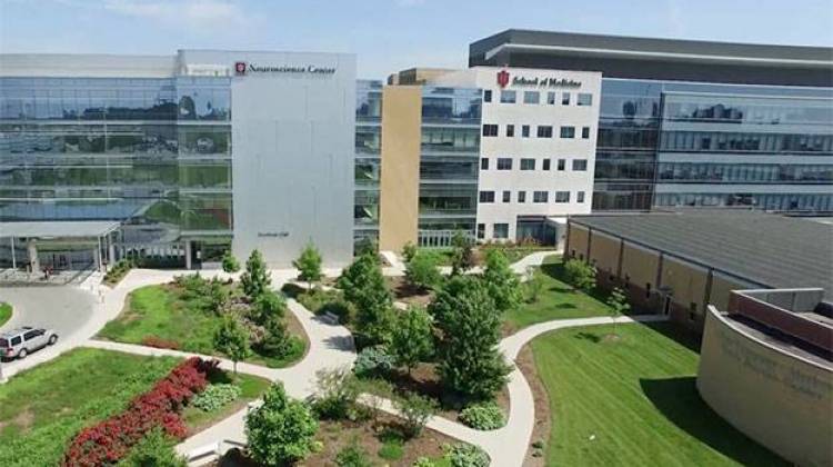 IU School Of Medicine Set Record For 2017 Funding 